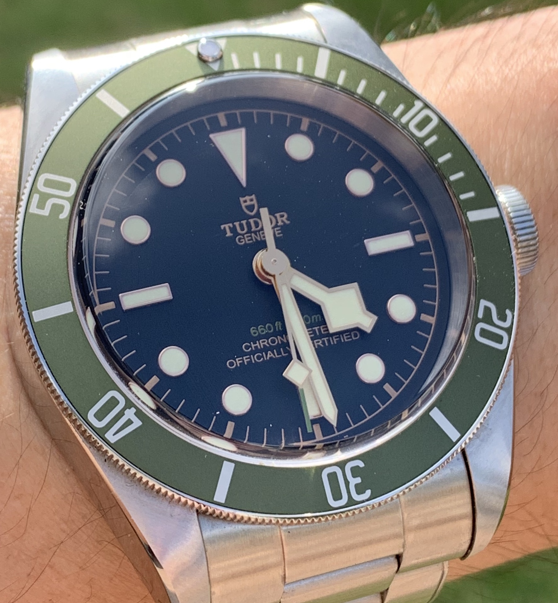 tudor harrods