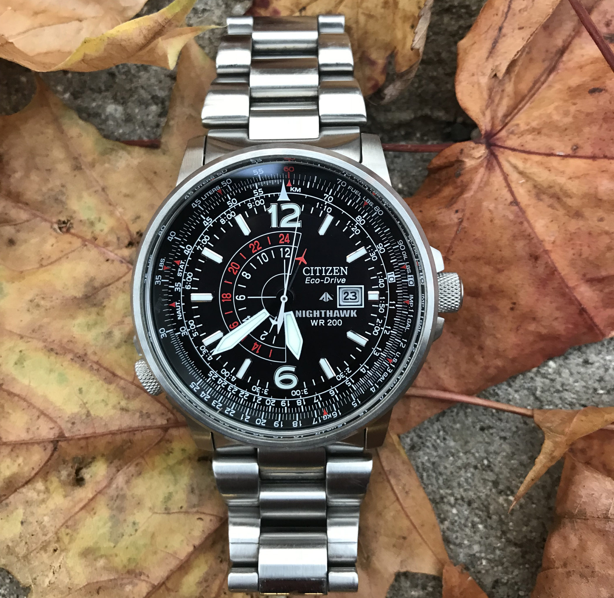 citizen nighthawk