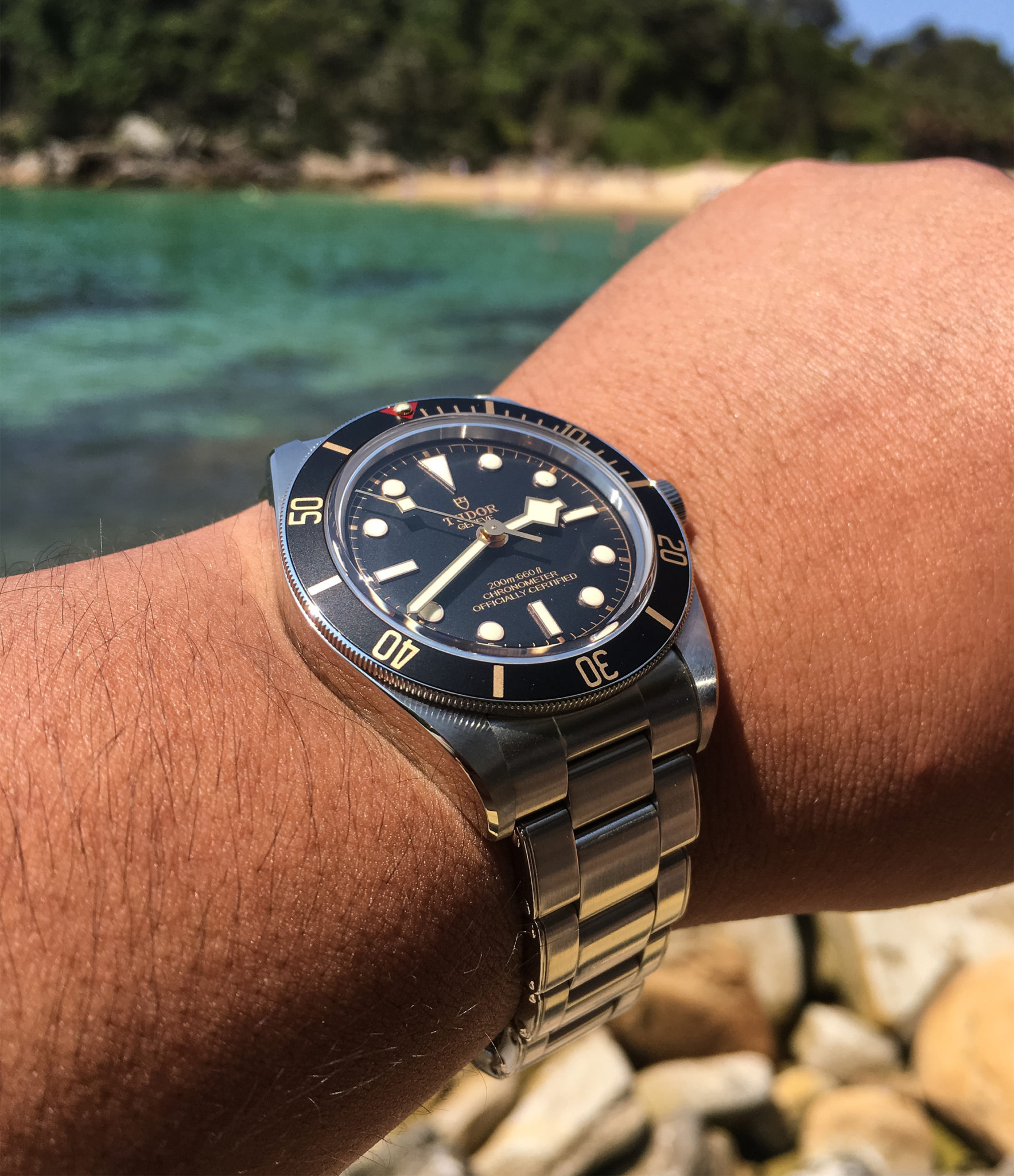 Tudor Black Bay 58 79030N