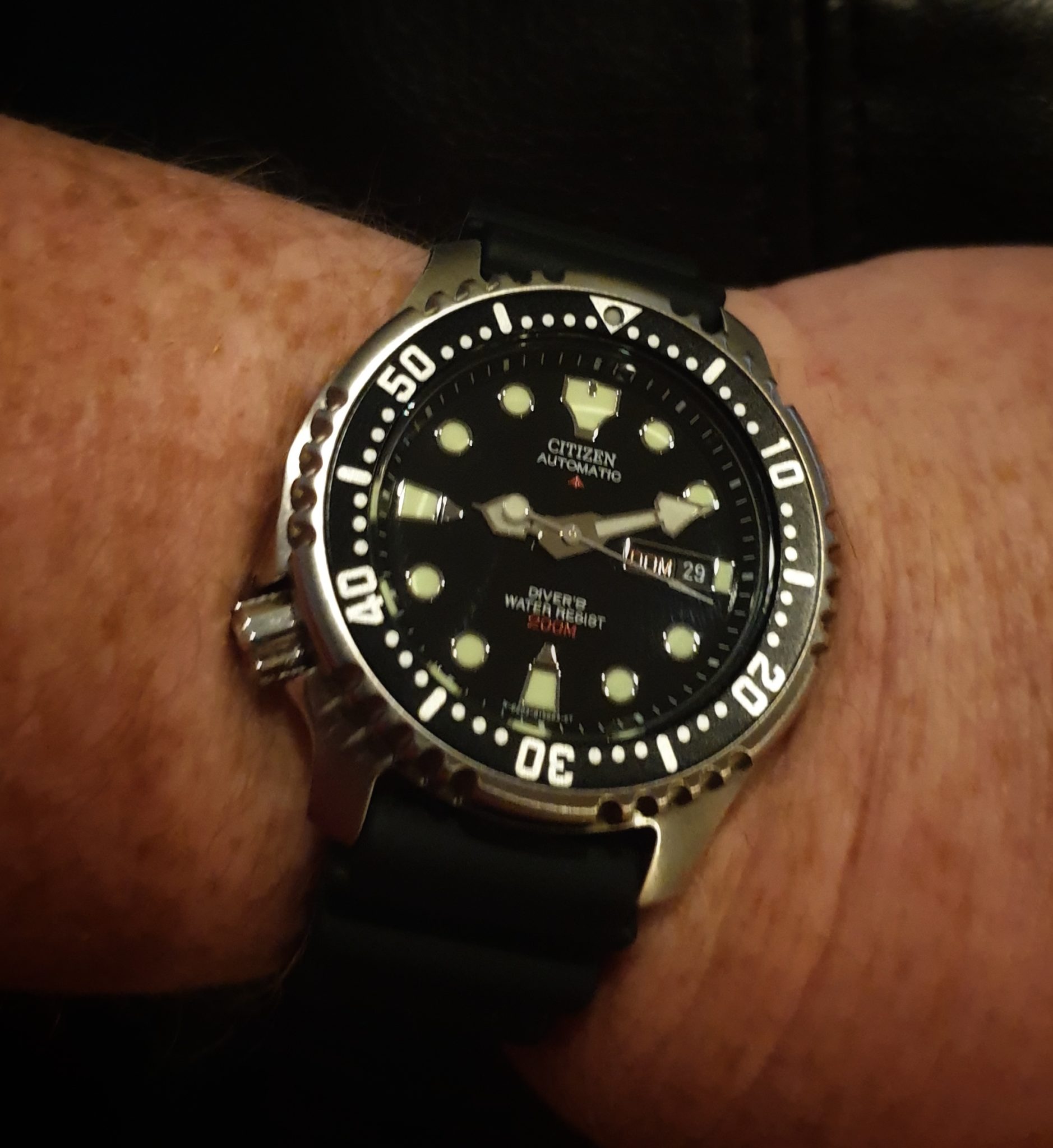 Citizen Promaster Diver NY0040-41e