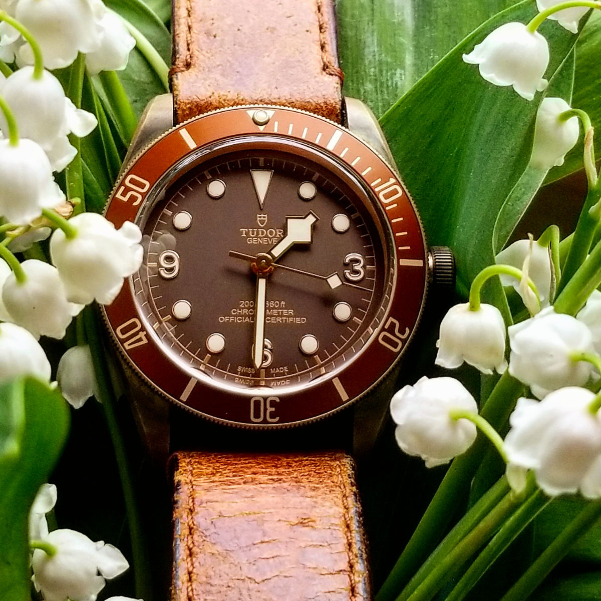 Tudor Heritage Black Bay Bronze
