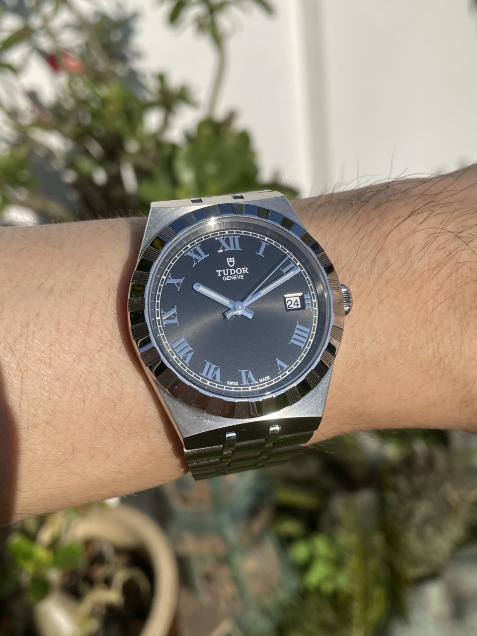 Tudor Royal M28500-0003