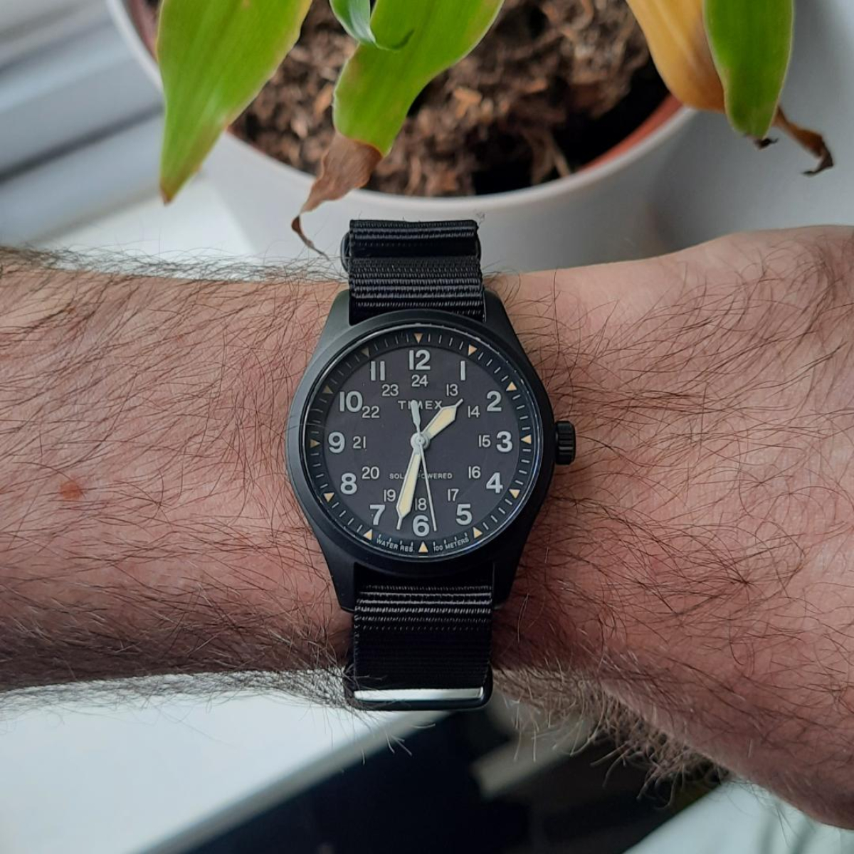 Timex Expedition North Field Post Solar