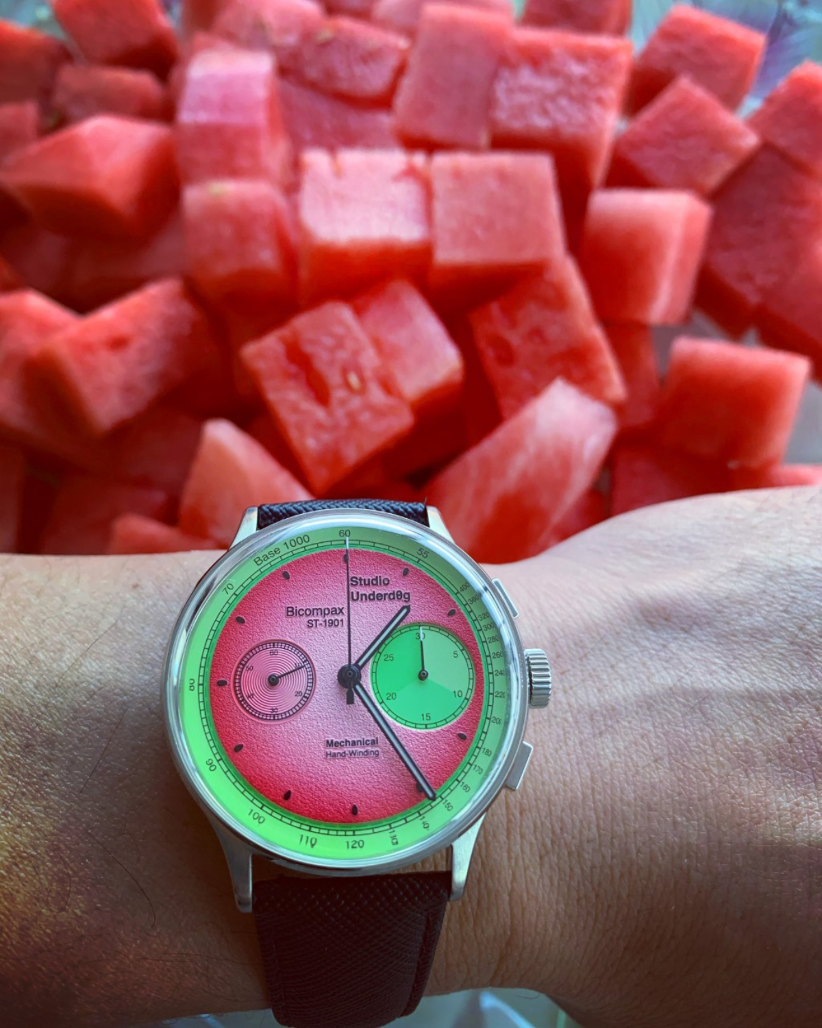 Studio Underdog Watermelon